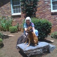 Alice Dawson Photo 14