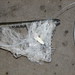 Eric Garman Photo 11