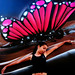 Bonita Bates Photo 7