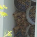 Steve Farmer Photo 33