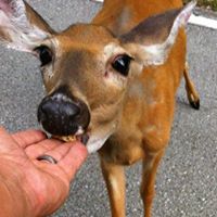 David Daugherty Photo 24