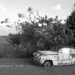 Nathaniel Rust Photo 6