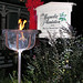 Cindy Baird Photo 22