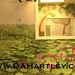 Charles Hartley Photo 35
