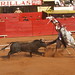 Santos Cavazos Photo 19