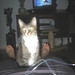 David Swensen Photo 22