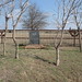Robert Mccully Photo 14