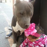 Marie Terrazas Photo 18