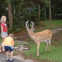 Laura Milligan Photo 29