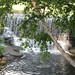 Frank Toth Photo 15