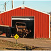 Nellie Ford Photo 11