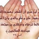 Hadi Taha Photo 7