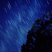 Joshua Summers Photo 17