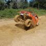 Luke Grant Photo 19