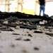 Kevin Asbury Photo 12