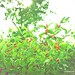 Catherine Berry Photo 47