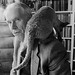 Anthony Powell Photo 26