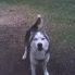 Steve Applebaum Photo 21