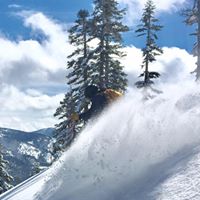 Steve Wick Photo 25