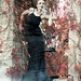 Brittany Stevenson Photo 15