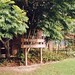 Harry Bailey Photo 29