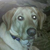 Brandon Gruber Photo 11