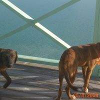 Deborah Cassity Photo 6
