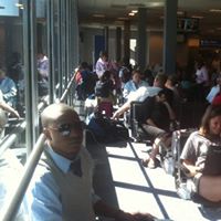 Harold Whitaker Photo 12