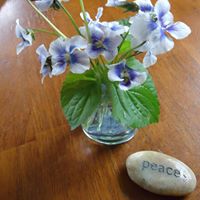 Kimberly Hood Photo 22
