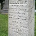 Elizabeth Goble Photo 15