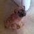 Sherry Bailey Photo 10