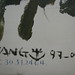 Fang Chen Photo 21
