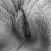 Peter Lash Photo 17