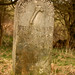 Mark Ridgeway Photo 30