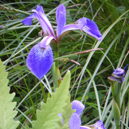 Debra Decker Photo 31