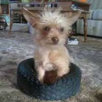 Diane Burks Photo 9
