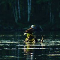 Robin Wendt Photo 13