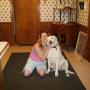 Ann Grimes Photo 16