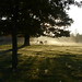 Jerry Langley Photo 18
