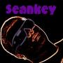 Sean Key Photo 32