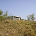 Carlos Alarcon Photo 26