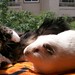 Katina Long Photo 9