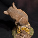Tim Wolfe Photo 17