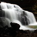 Forrest Mize Photo 4