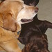 Dexter Murphy Photo 22