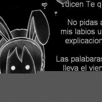 Julieta Maciel Photo 2