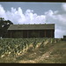 Russell Post Photo 10