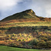 James Roseberry Photo 22