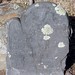 Martha Perkins Photo 19