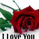 Jamil Muhammed Photo 5